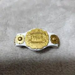 2025年最新】IWGPインターコンチネンタルチャンピオンベルトの