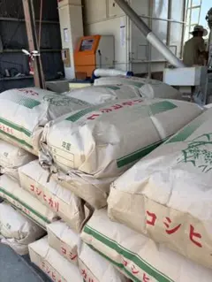 令和7年新米コシヒカリ5kg 10kg 30kg用米袋★ハンドメイドにも