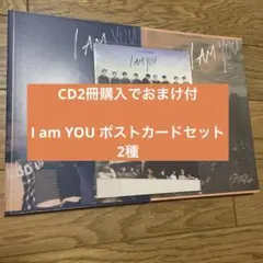 【おまけ付】Stray Kids CD2冊セット