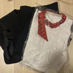 Item thumbnail for item 5c1cf2e0-177f-491e-a160-c3594d366418