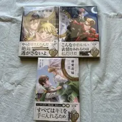 溺愛花嫁 全3巻セット 特装版