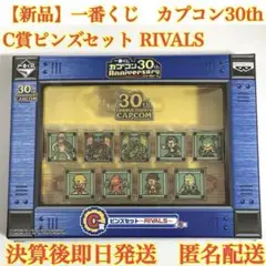 ロックマン装備アイルー 「一番くじ カプコン30th Anniversary」 一番くじ カプコン30th Anniversary｜一番くじ倶楽部｜BANDAI