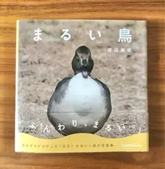 まるい鳥