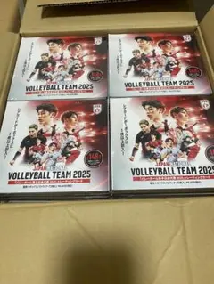 新品未開封　バレーボール男子日本代表2025 トレカ　1カートン 20BOX