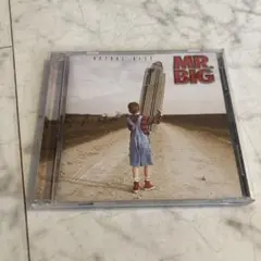 MR. BIG ACTUAL SIZE