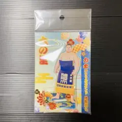 大相撲★大の里★アクリルスタンド★化粧まわし★ちょんまげ