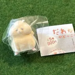 だれか助けてかどっこハムスター　ガチャ　キンクマ　1点