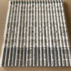 Item thumbnail for item 2b183f36-ce75-4b58-93e9-9bc1c86a0115