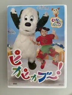 いないいないばあっ！　ピカピカブー！　DVD