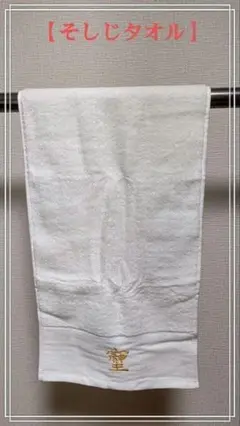 Item thumbnail for item 0cfaa5bd-163c-40af-8958-3d770d117a86