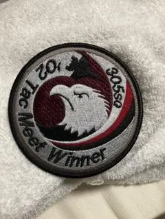 航空自衛隊 305SQ '02 Tac Meet Winner