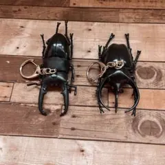 カブトムシ&クワガタキーホルダー