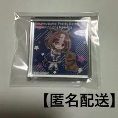 ウマ娘　メイショウドトウ　アクリルブロック