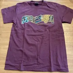 THE DEREK TRUCKS BAND Tシャツ M