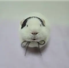 Item thumbnail for item 707349a3-193a-455d-976d-b43f74f9bcca