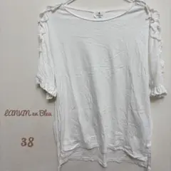 Item thumbnail for item 2f60ef37-b50c-48e2-9145-a767c9d7196c