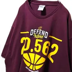 デルタ ディフェンドランド20.562 デカロゴ Tシャツ レッド赤XL古着