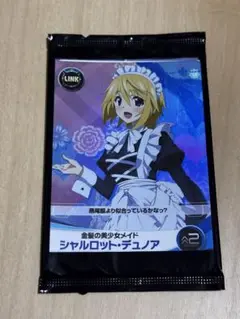 【送料無料】ファイブクロス　シャルロット・デュノア