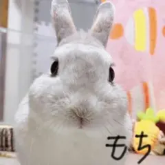 確認用