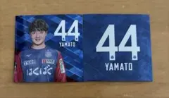 ヴァンフォーレ甲府　プレーヤーホログラムステッカー44番内藤大和選手