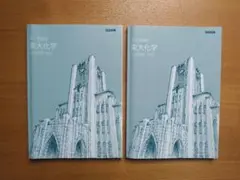 新品未使用★2024年 東進 東大特進 東大化学 大西哲男 第Ⅱ期 第Ⅲ期