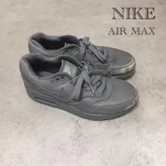 【希少カラー】NIKE AIR MAX1 ピナクル レザー クールグレー