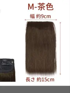 Item thumbnail for item 5d527a77-1c3d-4334-b138-34040446c50c