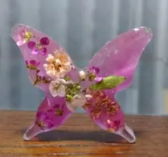 さおりん様お取り置き済です　　蝶々2つ