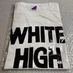 Item thumbnail for item 4e2d467b-8289-48a0-ae5e-9e38fd0e6235