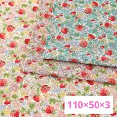 在庫処分 花 いちご柄 ブロード 生地