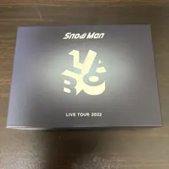 Snowman LiveTour 2022 Labo