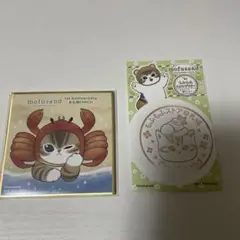 mofusand 1周年記念ミニ色紙、スタンプラリー