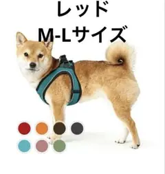 Item thumbnail for item 10b683c5-0ad8-478e-8849-984893444ca4