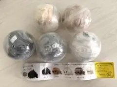 新品未使用 なつかない猫 ぬいぐるみ ガチャ コンプリート 全種