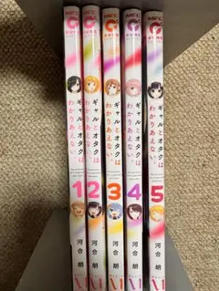 【5冊セット】　ギャルとオタクはわかりあえない 。