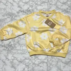 Item thumbnail for item 498759a2-c207-4a2c-9271-c68361b3315a