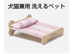 Item thumbnail for item 9f697298-8ee6-49c7-9513-ef87a031eb3a