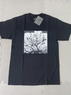 Filphies フィルフィーズ/内藤カツ　フォト　Tシャツ　黒　Ｍ　TREE