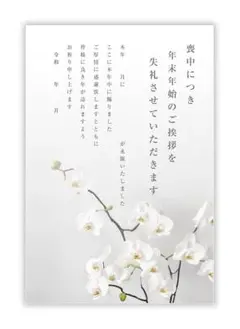 喪中はがき 私製 20枚入り 詳細記入用