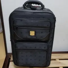 キャリーバッグ 大