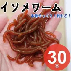 30本 イソメ ワーム ミミズ 8cm 擬似 エサ ワーム