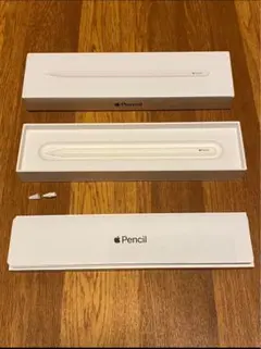 【ペン先予備付き】Apple Pencil 第2世代 アップルペンシル第二世代