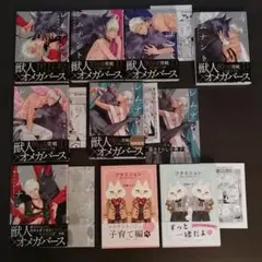 レムナント1~7、プチミニョン1.2