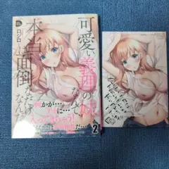 可愛い義理の妹なんて、本当は面倒なだけなんだが 2巻特典付き