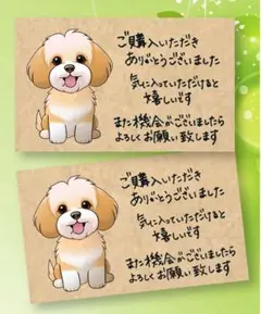 サンキューカード手書き文字トイプードルちゃん