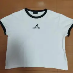 KANGOL ホワイト Tシャツ Mサイズ