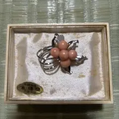 本珊瑚プロ-チ 沖縄産
