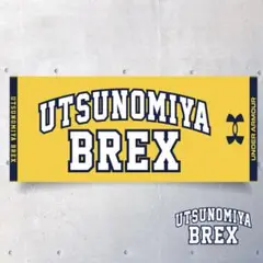 UA BREX カレッジロゴ スポーツタオル