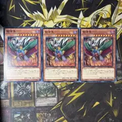 遊戯王 獄落鳥 3枚