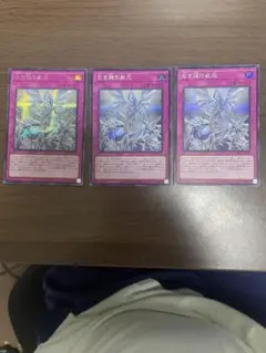 白き龍の威光　シークレット　 3枚